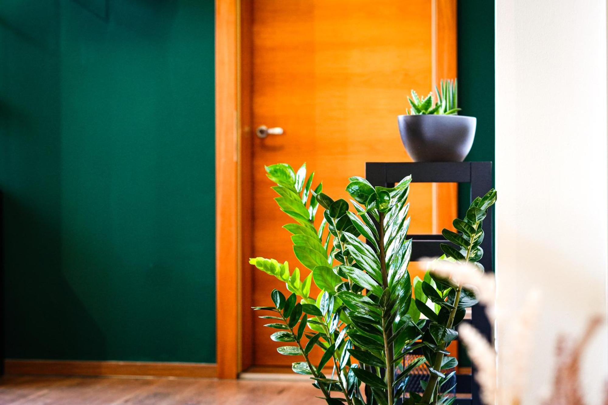 Alpenloft Bregenz Apartment Ngoại thất bức ảnh